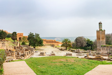 Fototapeta na wymiar Roman Ruins next to the Ruins of a Mosque at Chellah in Rabat Morocco