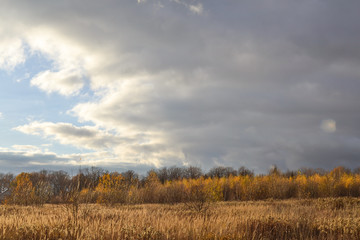 Fototapeta na wymiar Autumn landscape. Field with dry grass. Dry yellowed grass and dark clouds