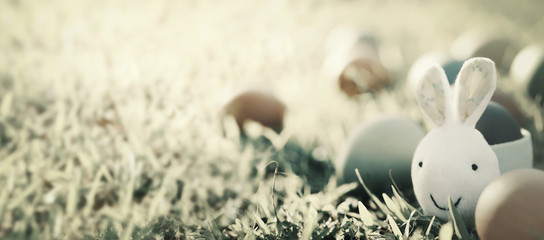 Rabbit and colorful Easter eggs in nature.Easter concept background.
