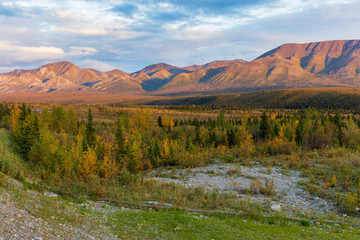 Scenic Autumn Landscape in Denali National Park Alaska