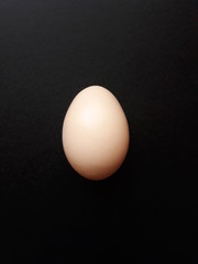 fresh chicken egg on black background
