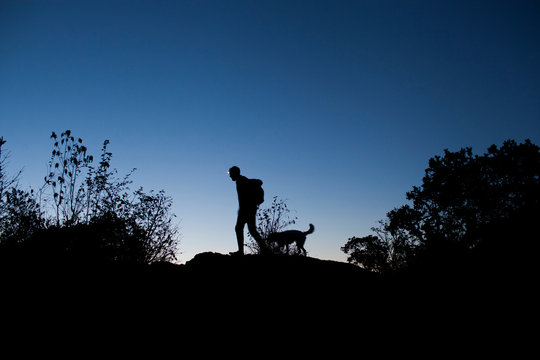 Silhouette of man with dog walking in field