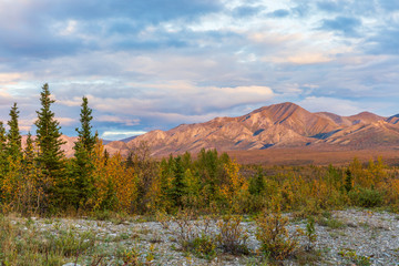 Scenic Autumn Landscape in Denali National Park Alaska