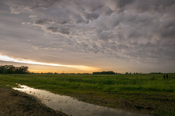 Mammatus clouds below the anvil of a severe thunderstorm over the plains of Nebraska. The sky is...