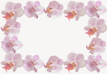 Vector frame with gentle orchids.
