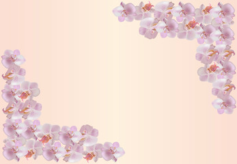 Fototapeta premium Vector frame with gentle orchids.