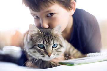 Little boy at home holding his lovely  fluffy cat. Gray tabby cute kitten with  beautiful eyes. Pets and lifestyle concept.