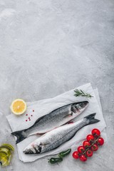 Fresh raw fish sea bass (seabass) with rosemary and vegetables on gray stone background.
