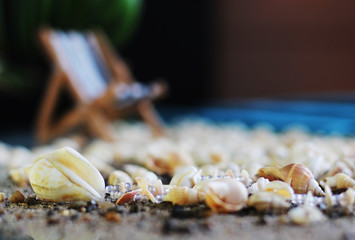 Shell and deck chair at summer vacation