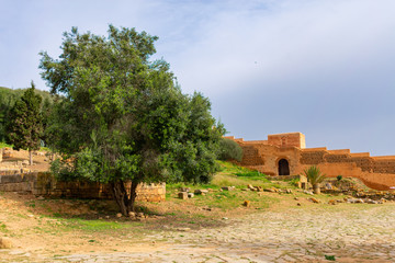 Roman Ruins at Chellah in Rabat Morocco