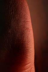 Fingerprint