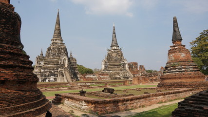 Fototapeta premium temple in ayutthaya thailand