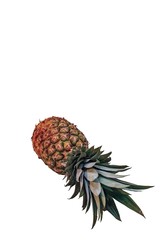 Ananas fruit isolated close up view. Fresh fruits backgrounds. Healthy eating. Healthy food. Organic food.