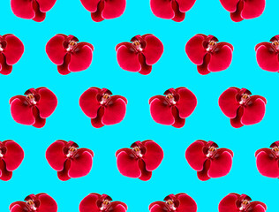 Pattern Beautiful red Phalaenopsis orchid flowers on blue emerald background. Tropical flower, flower pattern. Holiday, Women's Day, Flower Card flat lay. Creative floral background