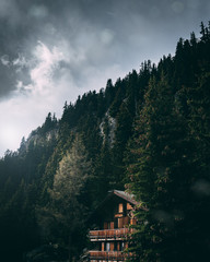 Hütte im Wald in den Bergen 