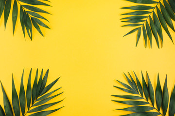 Tropical palm leaf on yellow background. Summer concept. Flat lay, top view, copy space