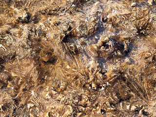 The texture of the land in the ice. Brown earth in winter. Land in the ice. Sunny and frosty day.