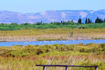 Vendicari Nature Reserve Sicily Italy