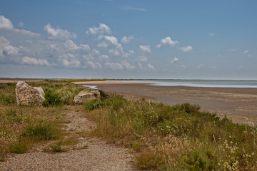 Camargue - Étang du Fangassier. Coastal landscape in the Camargue,  Provence, Bouches-du-Rhône, France