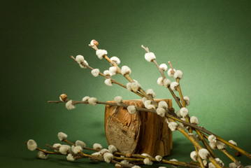 image of willow on green background close-up