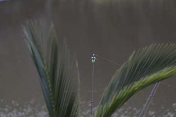Fishing bait waiting to be used