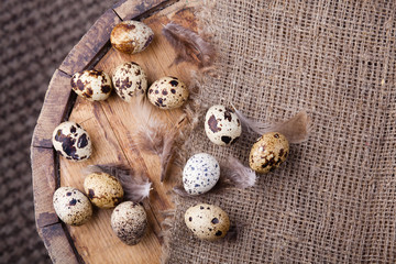 Easter background - quail eggs and feathers on the aged wooden table