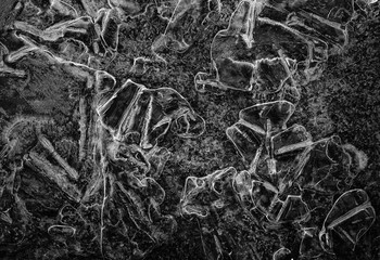 Abstract shapes formed in ice