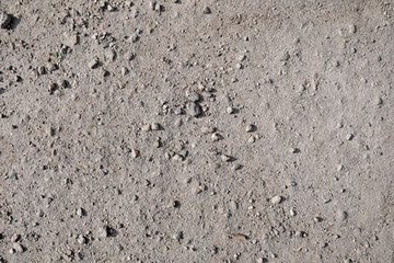 Grey ground with small rocks and dirt. Background for design