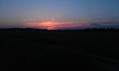 Sunset in the field