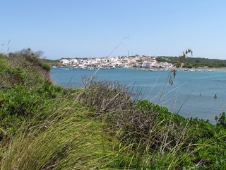 picture of the coast of the beautiful Menorca island in Spain. the mix of the green and blue...