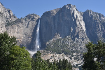 Yosemite National Park, CA., U.S.A. June 25, 2017. Yosemite Falls seen from the Valley floor meadow from the Southside drive.  Dynamic Upper and Lower Yosemite Falls peak water fall.