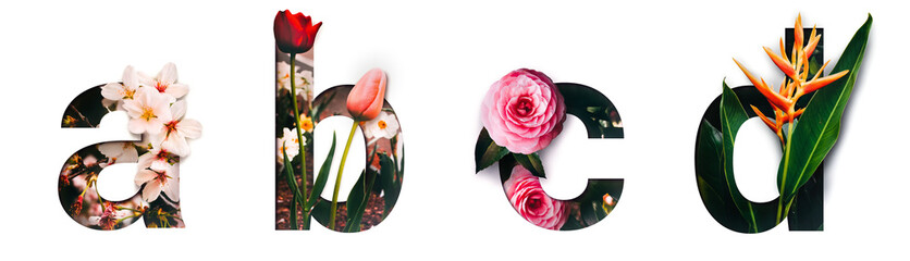 Flower font letter a, b, c, d Create with real alive flowers and Precious paper cut shape of...