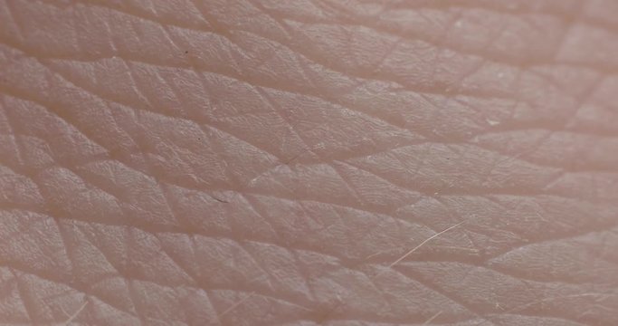 The texture of the skin. Human skin. Macro photo. Close up.