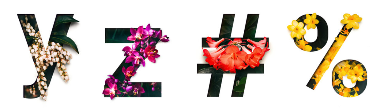 Naklejki Flower font letter y, z,  , % Create with real alive flowers and Precious paper cut shape of alphabet. Collection of brilliant bloom flora font for your unique text, typography with many concept ideas