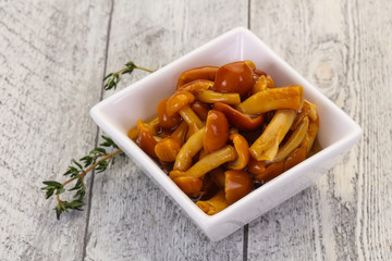 Pickled honey agaric