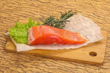 Piece of raw salmon