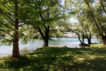 water, trees, bridges and a sunny afternoon