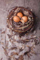 Easter rustic background: chicken eggs in the nest on wood