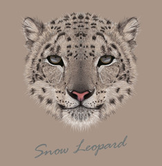 Plakat Snow leopard animal cute face. Vector Asian Irbis head portrait. Realistic fur portrait of snow wild spotted panther isolated on beige background.
