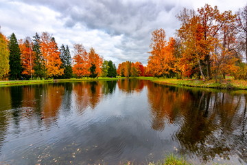 Autumn foliage in Pavlovsky park, Pavlovsk, St. Petersburg, Russia