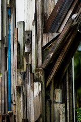 Art tree wood on old wood