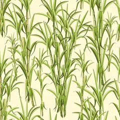 Wall murals Draw Sugar Cane Exotic Plant Seamless Pattern Vector Design