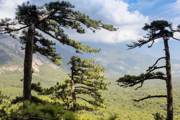 Fototapeta na wymiar View of the mountain valley.
