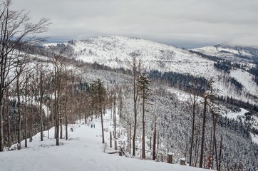 Beautiful winter mountain landscape. Beautifully snow-covered trail in the Polish mountains.