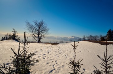Fabulous winter landscape. Beautiful sunny mountain view in Poland.