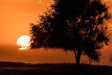 Sunset in the Chyornye Zemli (Black Lands) Nature Reserve, Kalmykia region, Russia.