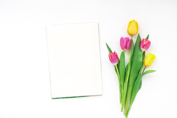 Spring flowers. Tulip on white background. Flat lay, top view