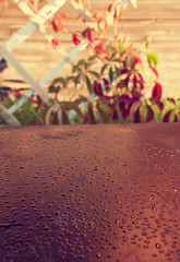 Green leaves of plant on a wooden lattice of the veranda in rainy day