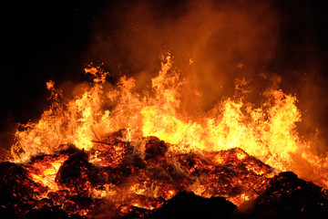 Fototapeta na wymiar wildfire burning forest in the night