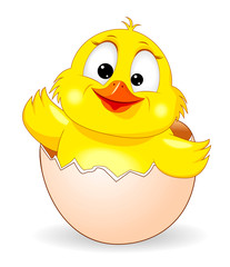Cute chick was born 1. Little yellow chicken on white background. Cartoon chick peeking out of an eggshell